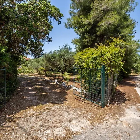 Casa vacanze Loggos Summer House Vasilikí